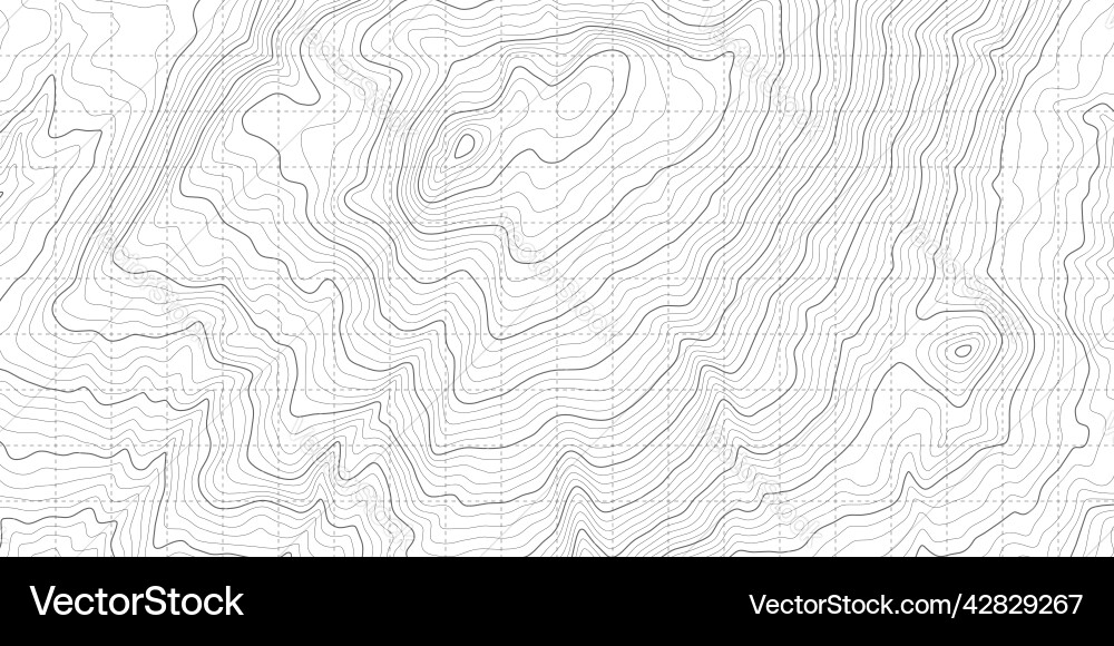 Black white topographic contour outline map Black white topographic contour outline map vector image