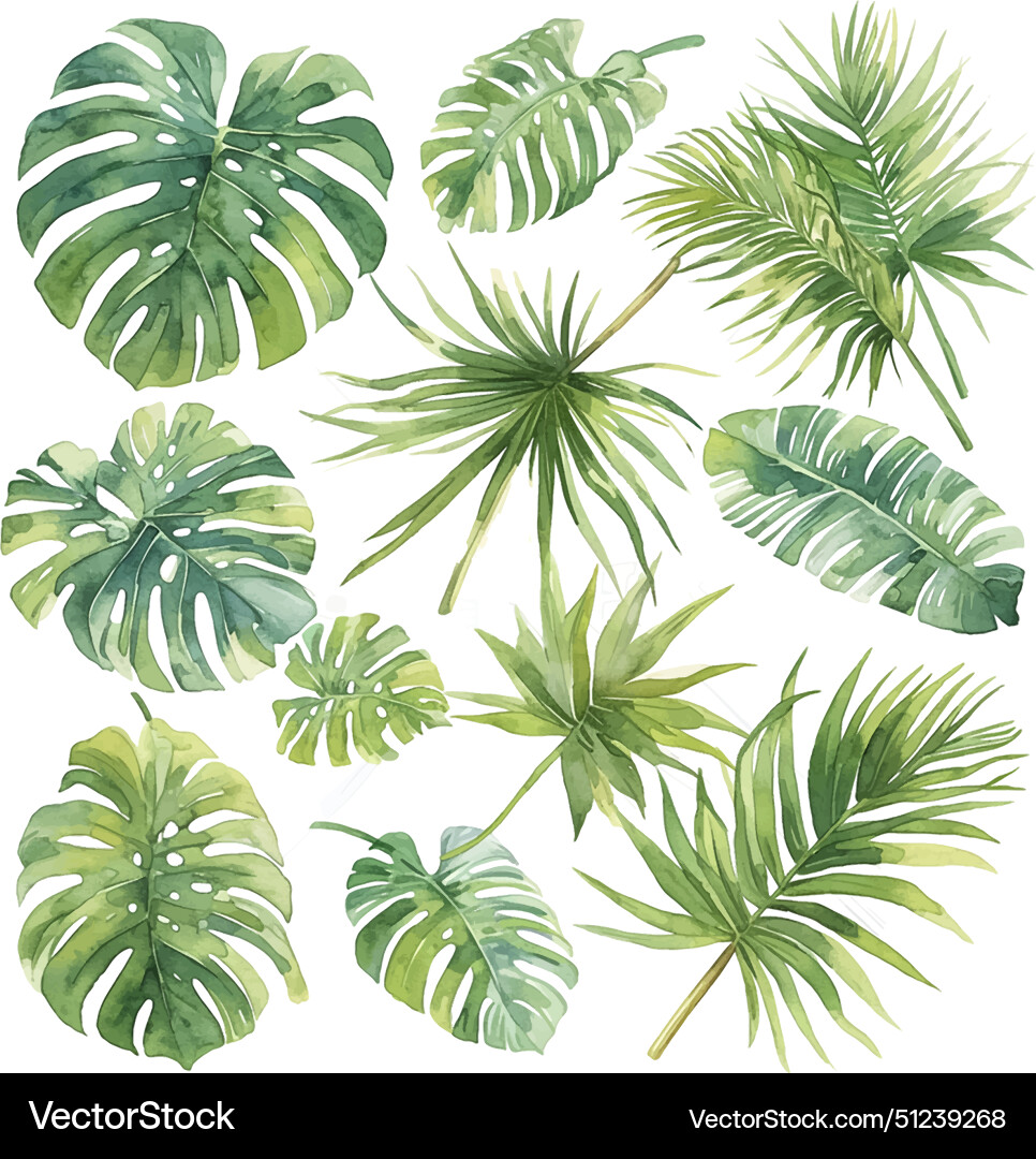 Tropical Green Leaves & Palms Vector Image