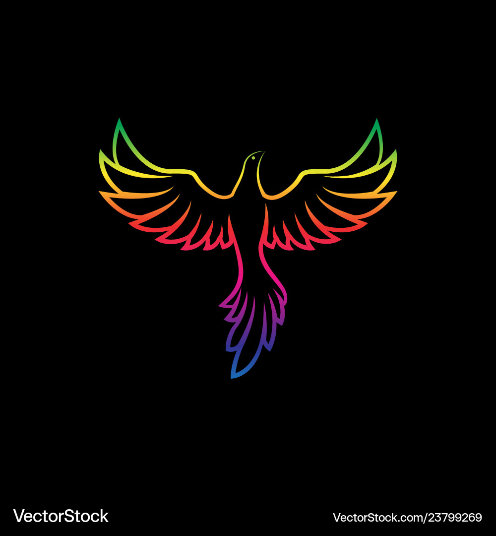 Colorful birds design on a black background wild vector image