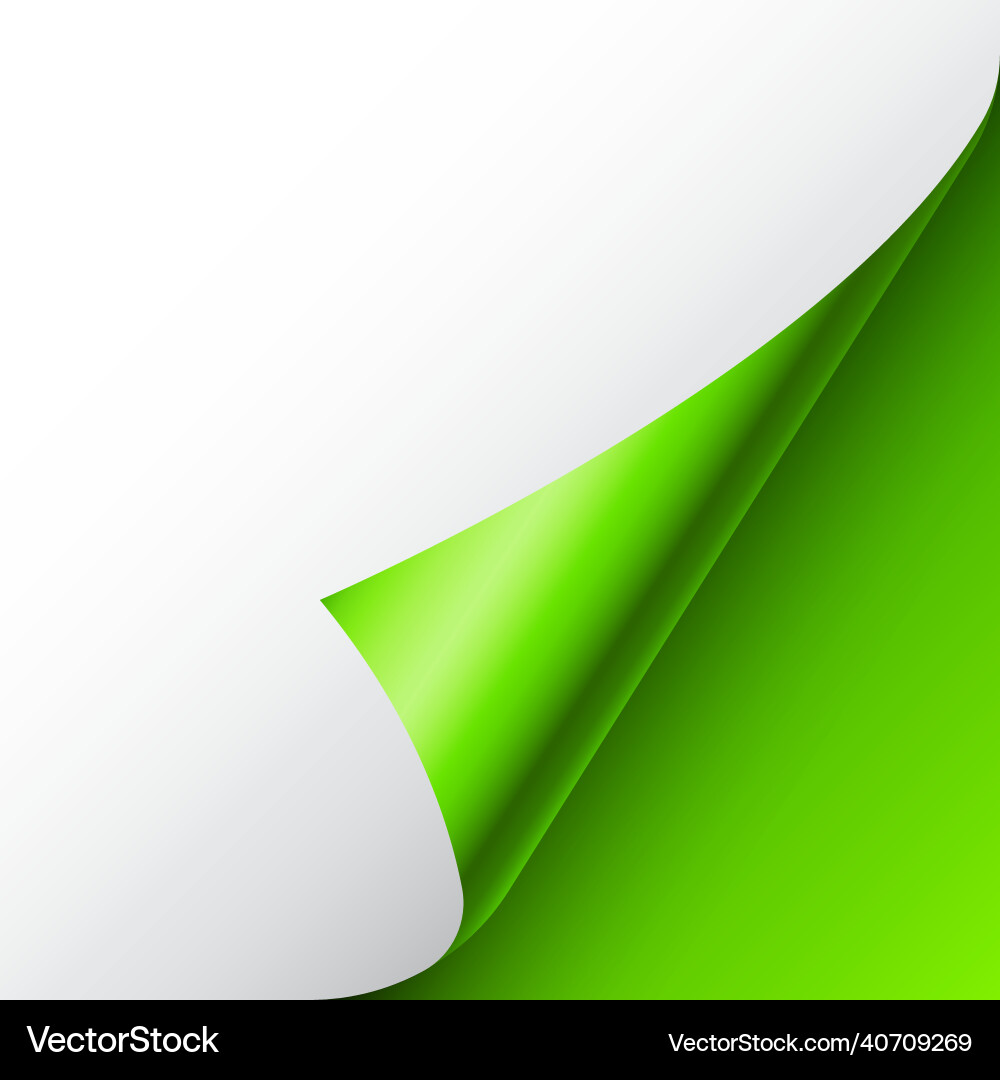 Green paper curl curled page corner with shadow Green paper curl curled page corner with shadow vector image