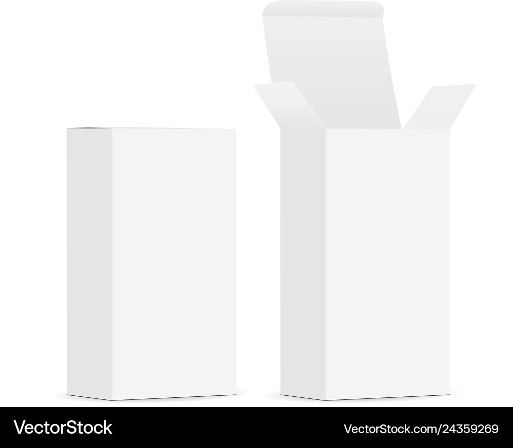 Two blank rectangular boxes with open closed lid vector image