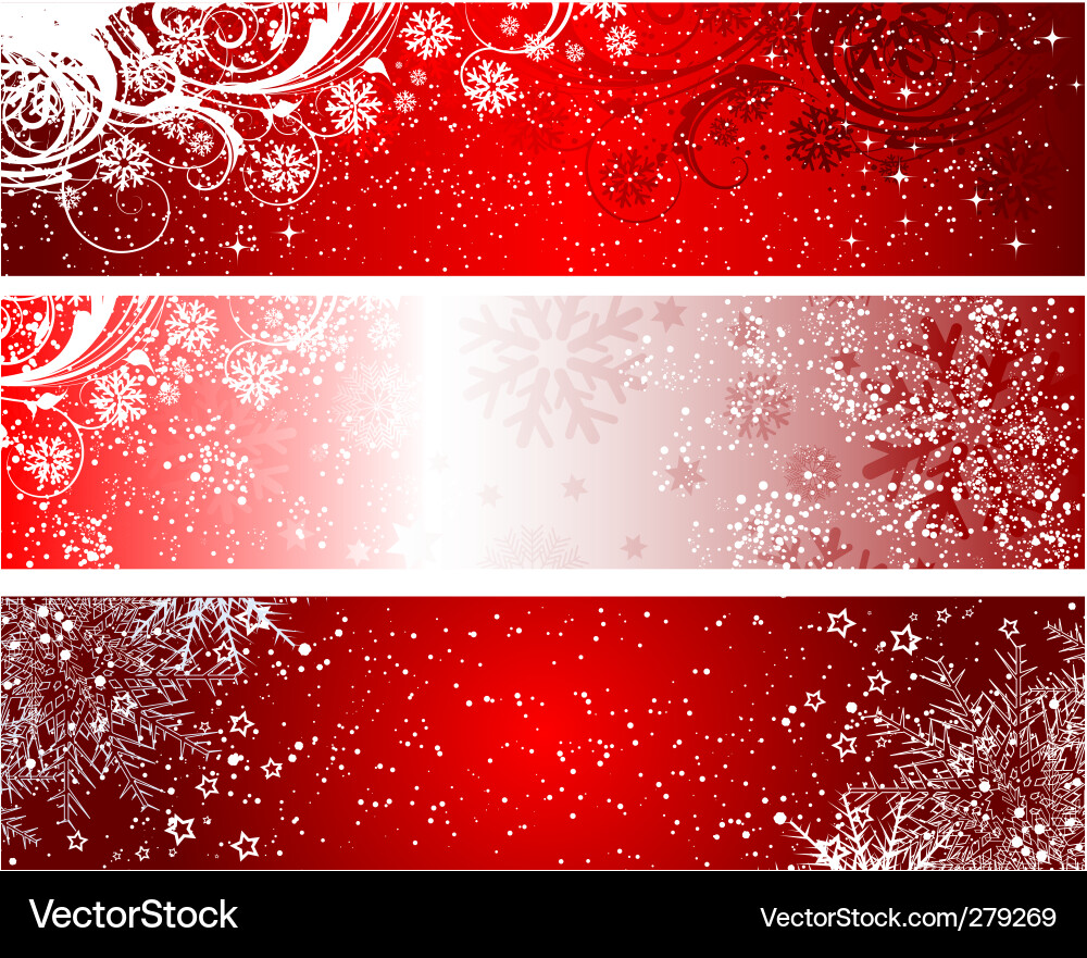 Winter Snowflake Background vector image