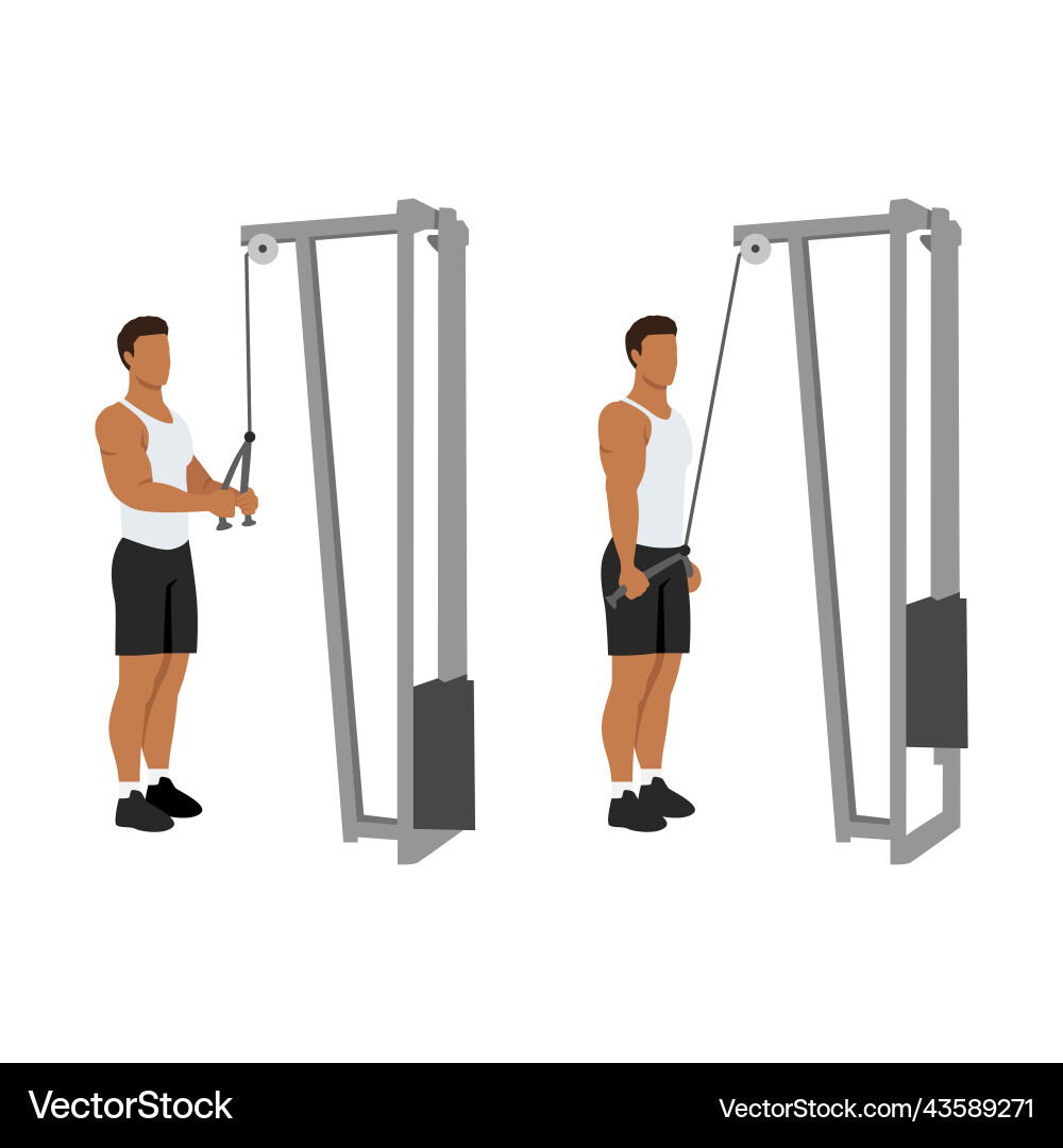 Man Performing Cable Pushdown Exercise Vector Image