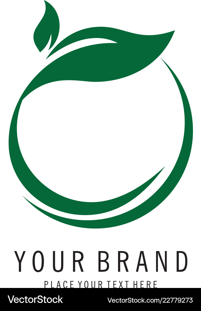 Elegant Leaf Logo Royalty Free Vector Image - VectorStock