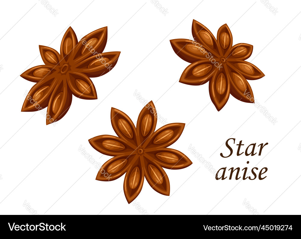 Star Anise Saatgut Gewürz Gewürz Gewürz Gewürz Gewürz Gewürz Gewürz Star Anise Saatgut Gewürz Gewürz Gewürz Gewürz Gewürz Gewürz Gewürz vektorbild