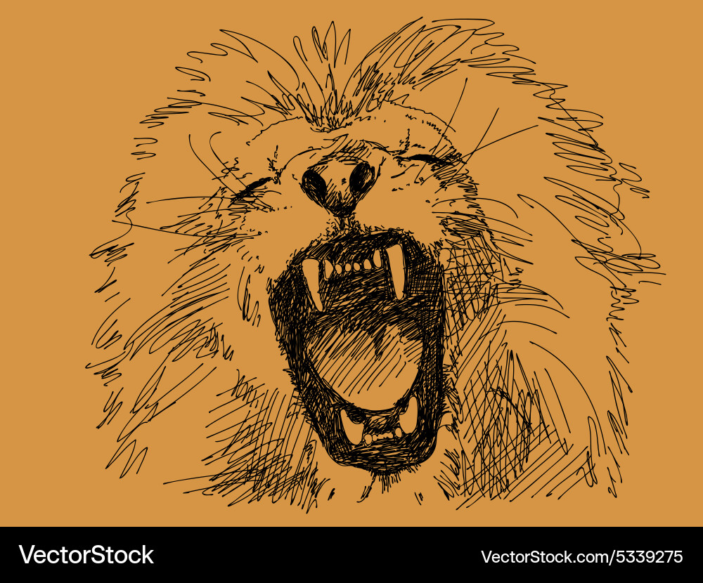 Doodle Vector Image
