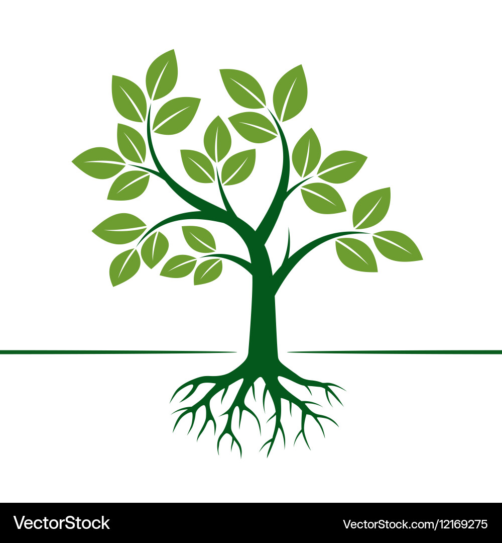 Green Tree with Roots Icon Royalty Free Vector Image