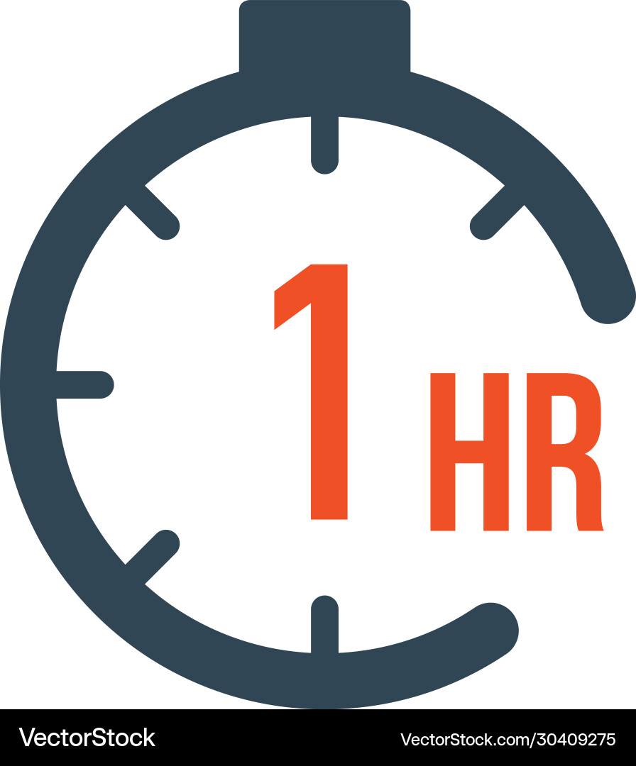 Round Countdown Timer Icon - 1 Hour vector image