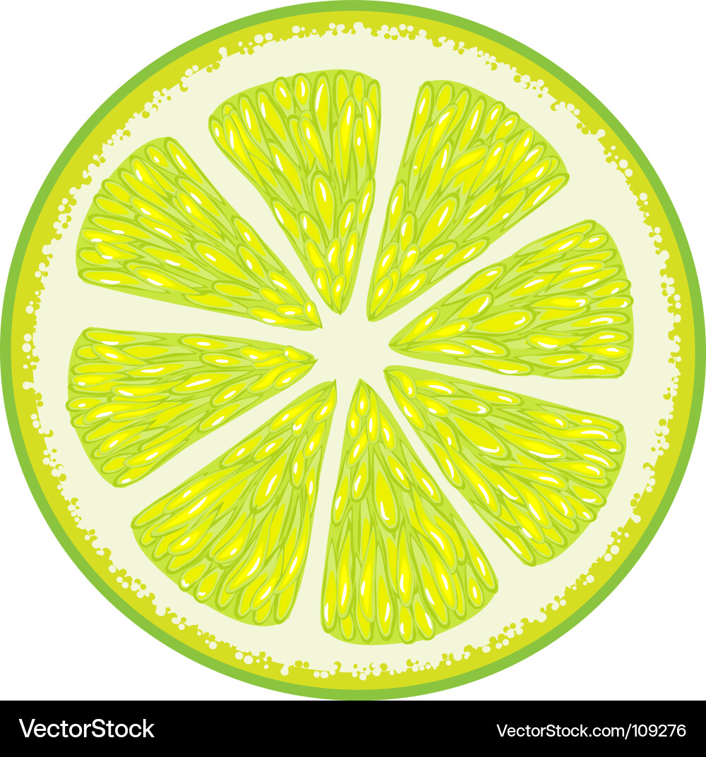 Lime Slice Close-Up Vector Image