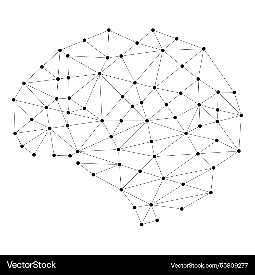 Brain design with dots and connecting lines low Brain design with dots and connecting lines low Vector Image