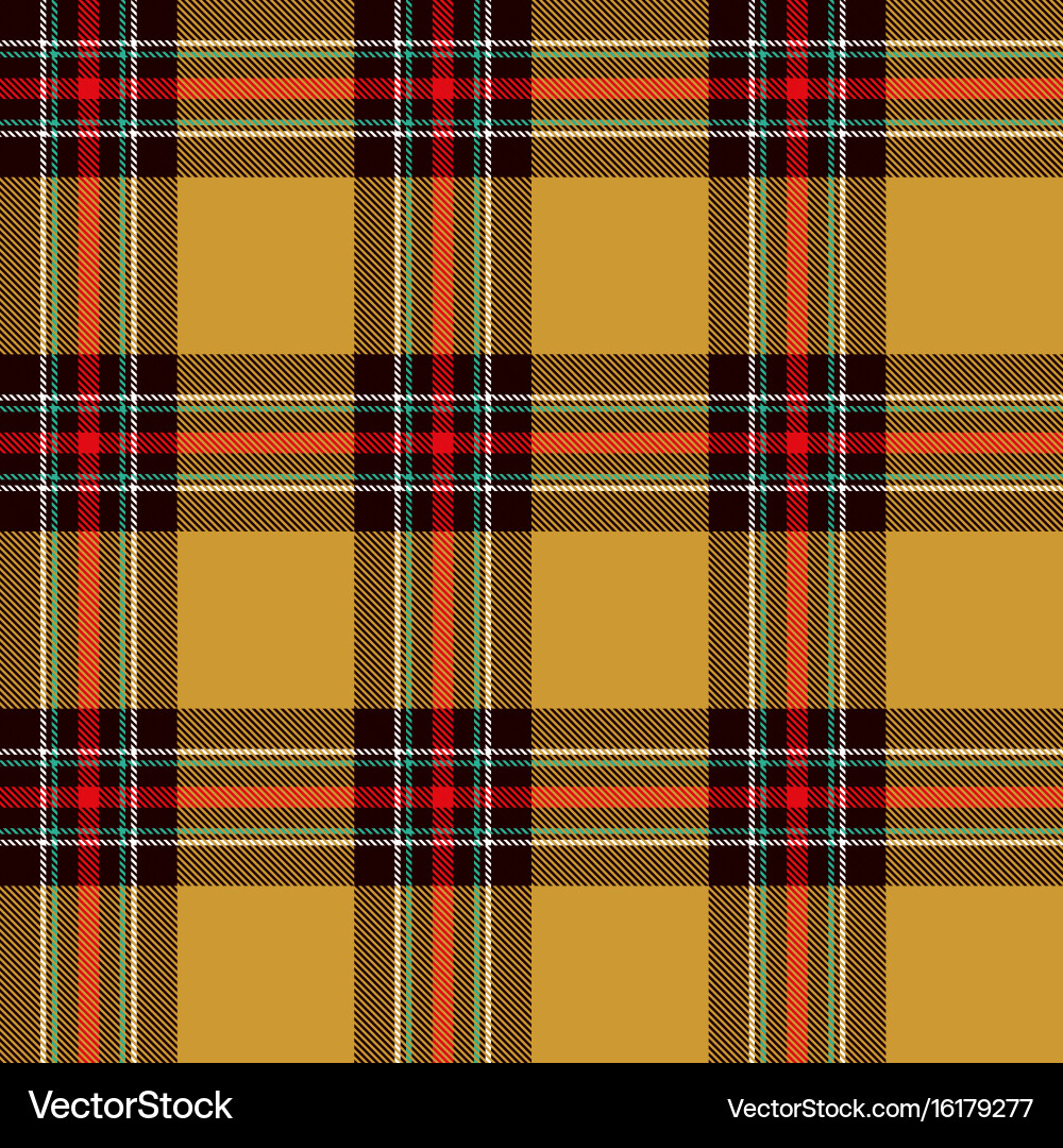 Tartan Plaid Pattern vector image