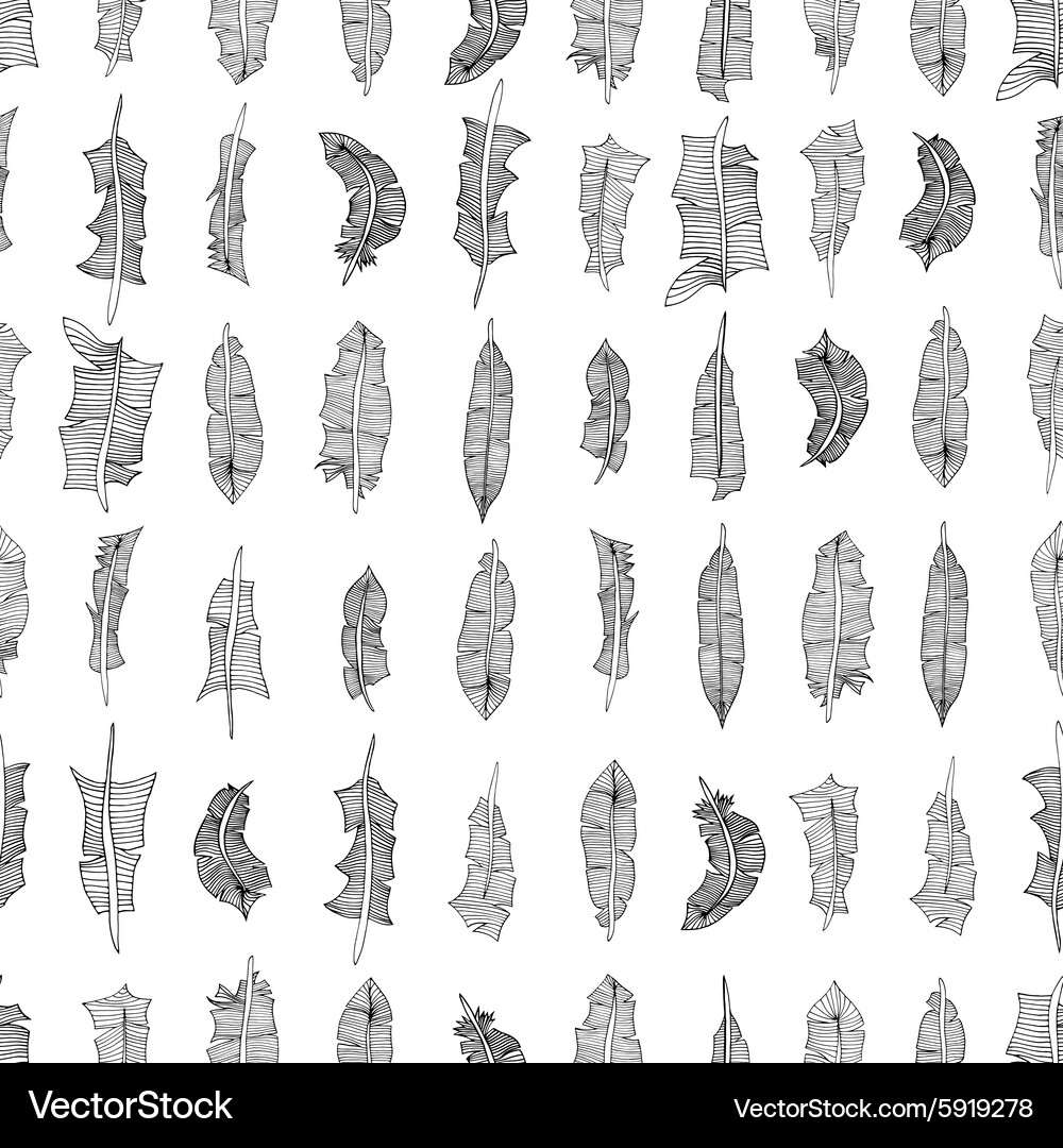 Feathers pattern Vector Image