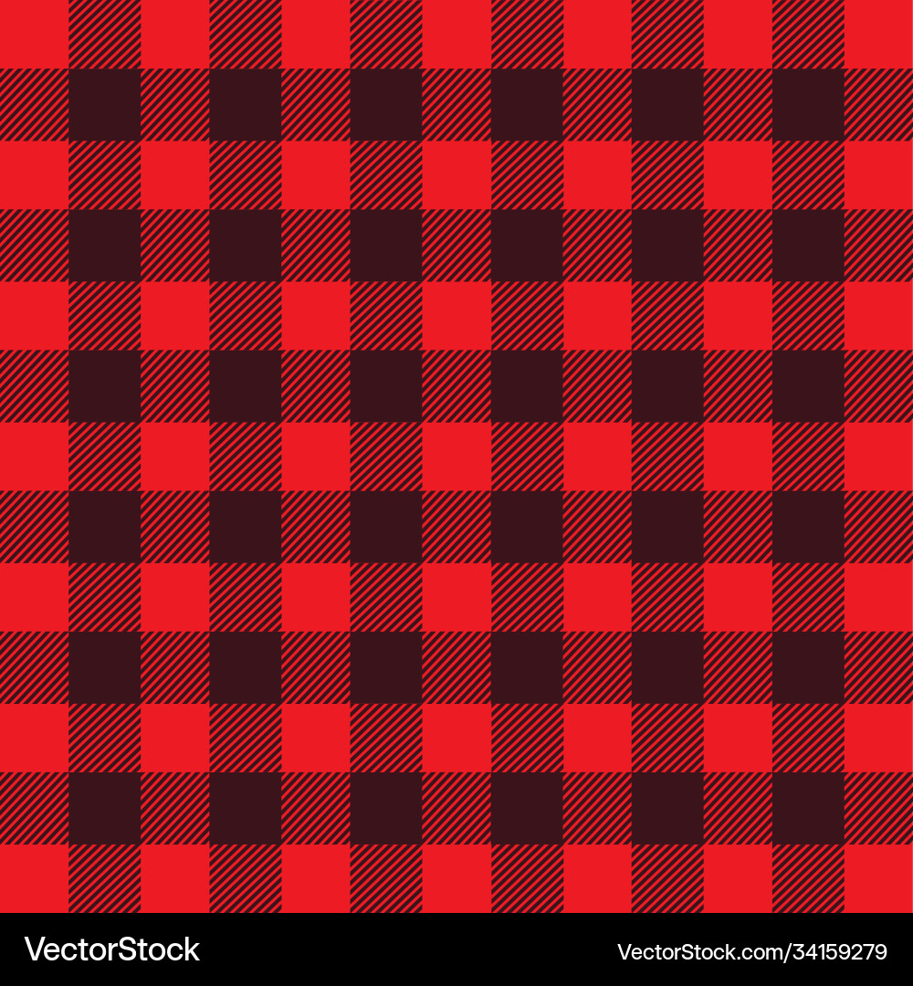 Buffalo plaid vector image