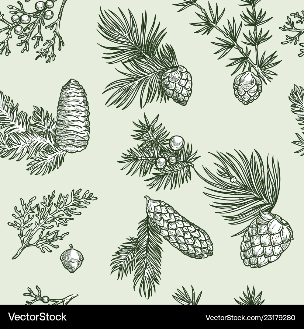 Pine branches of trees and cones seamless pattern Pine branches of trees and cones seamless pattern vector image