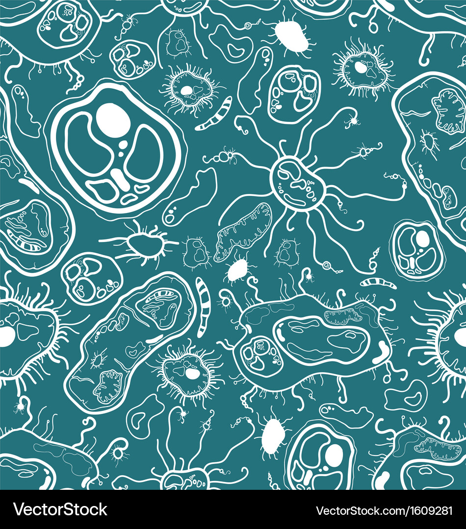 Seamless pattern of cells Vector Image