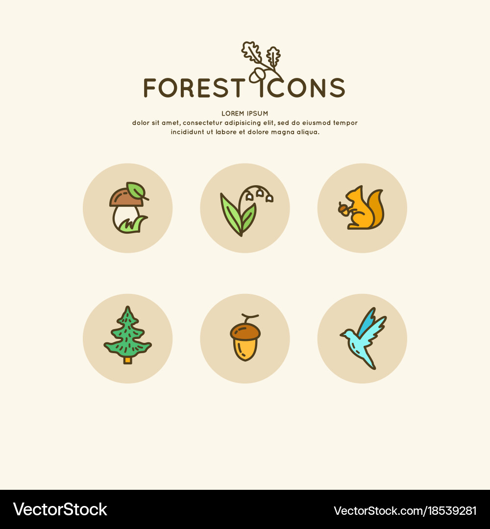 Set of linear forest icons vector image