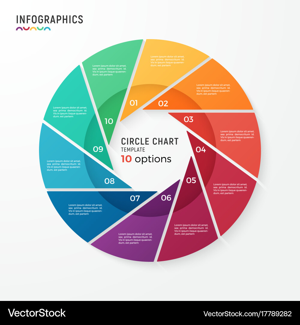 Data Visualization Circle Chart Template vector image