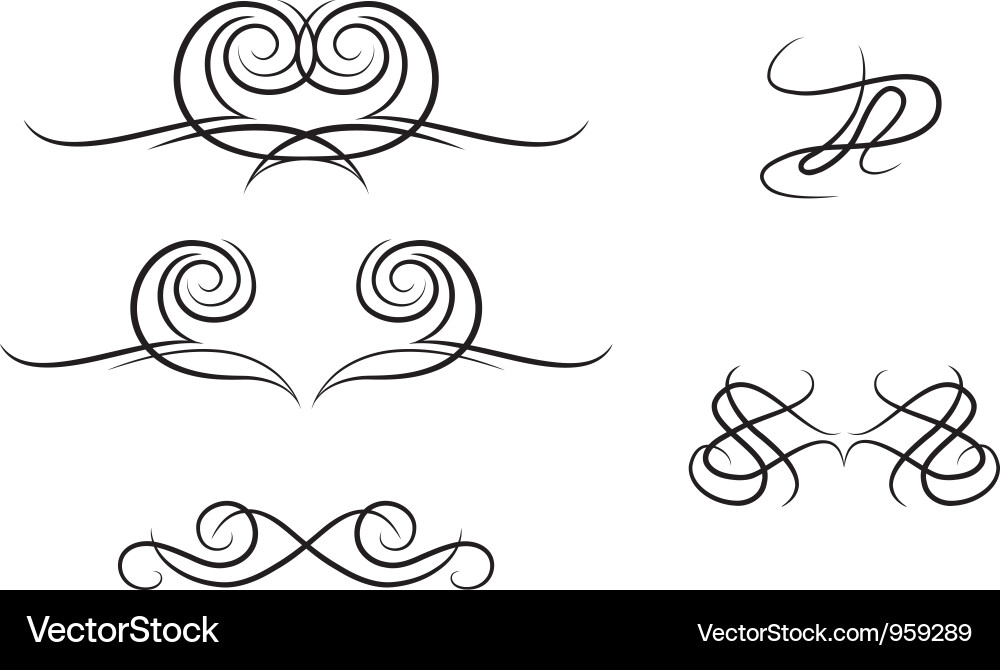 Calligraphic elements Vector Image