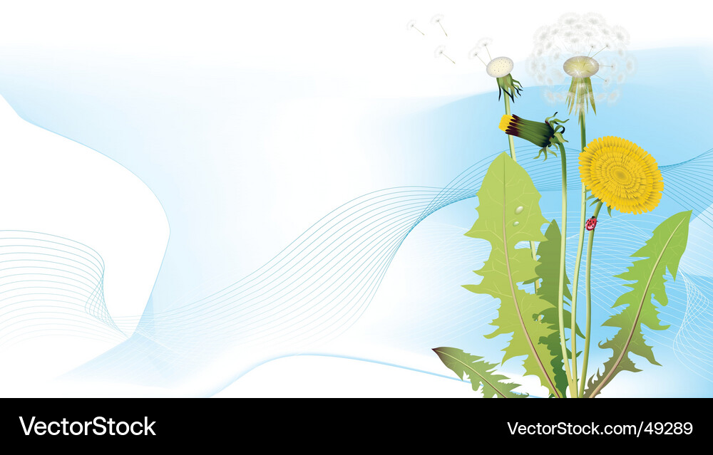 Spring meadows background Vector Image