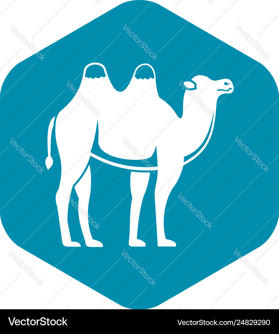 Camel icon simple style Vector Image