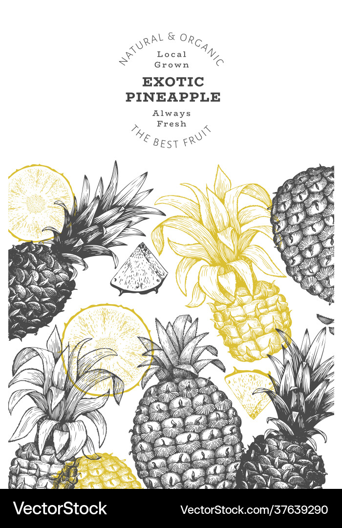 Hand drawn sketch style pineapple banner organic Hand drawn sketch style pineapple banner organic vector image