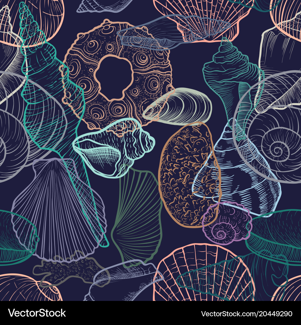 Seashell Pattern - Ocean Waves vector image