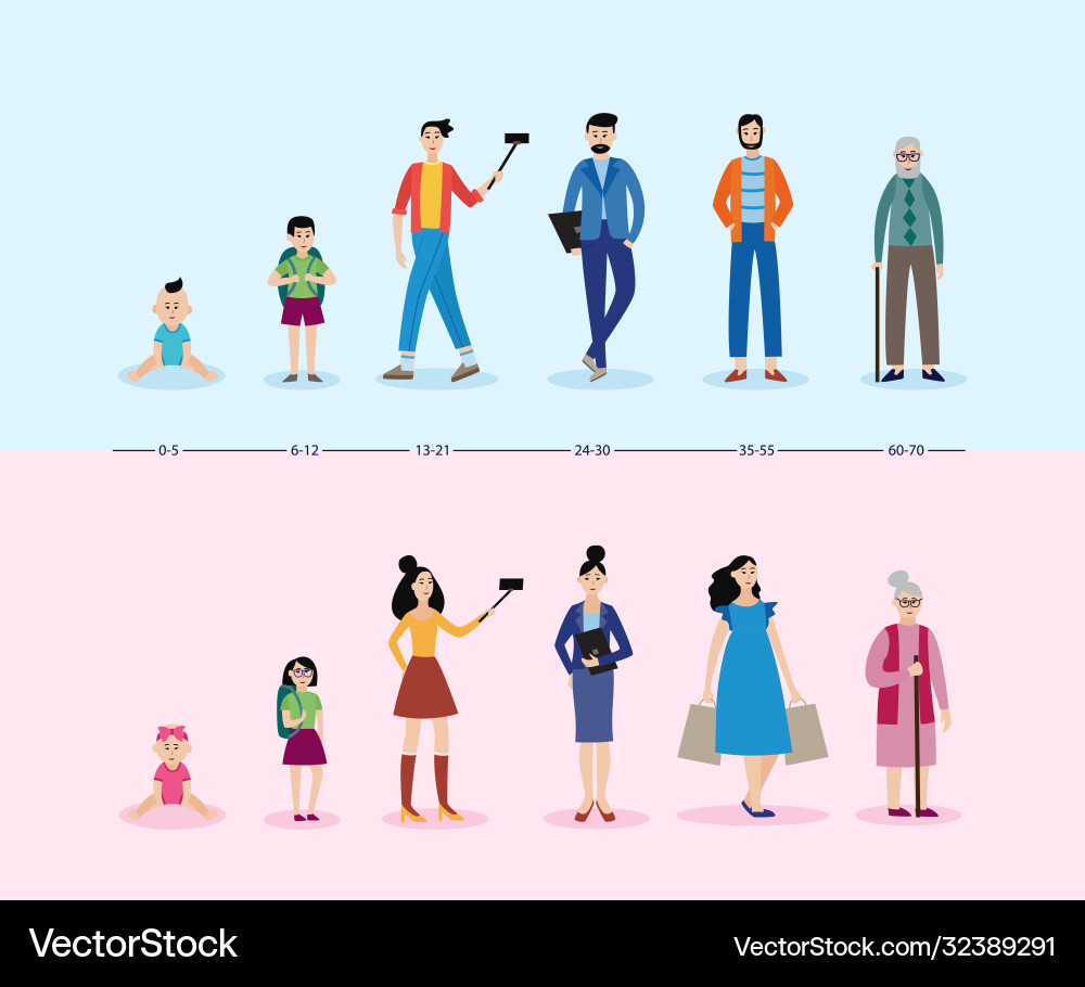 Life cycle age-related changes characters set vector image