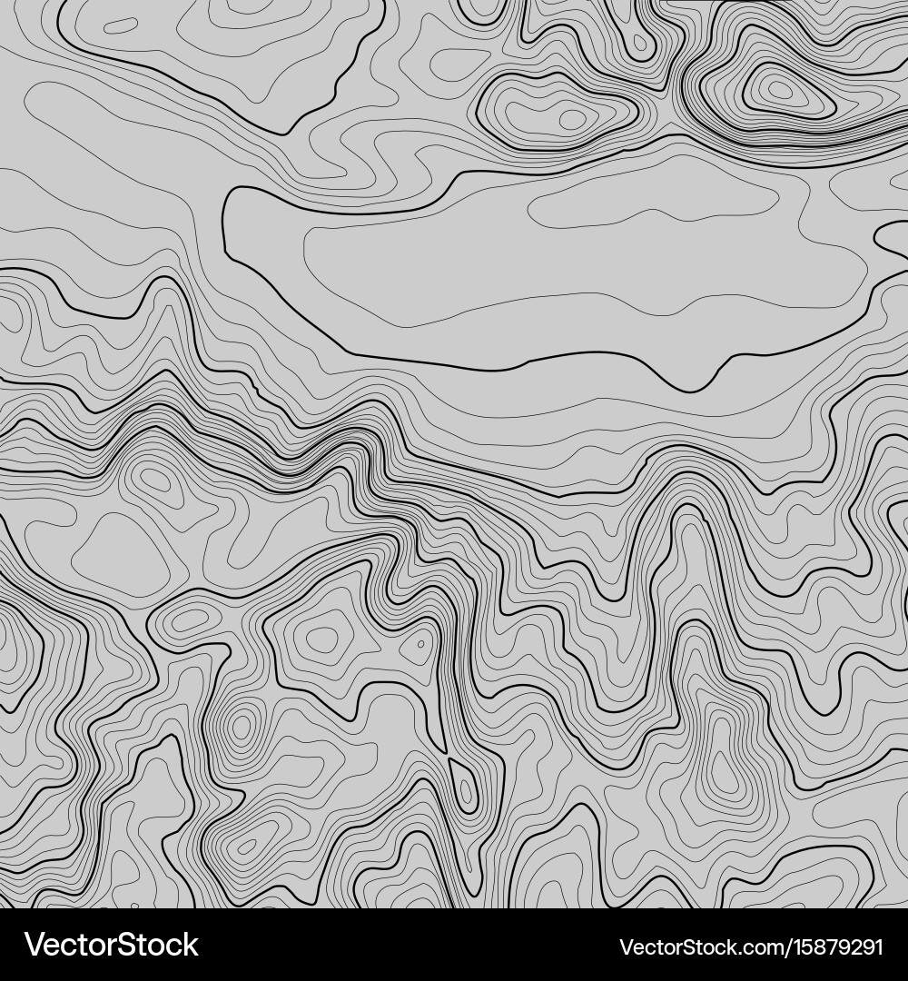 Topographic map background with space for copy vector image