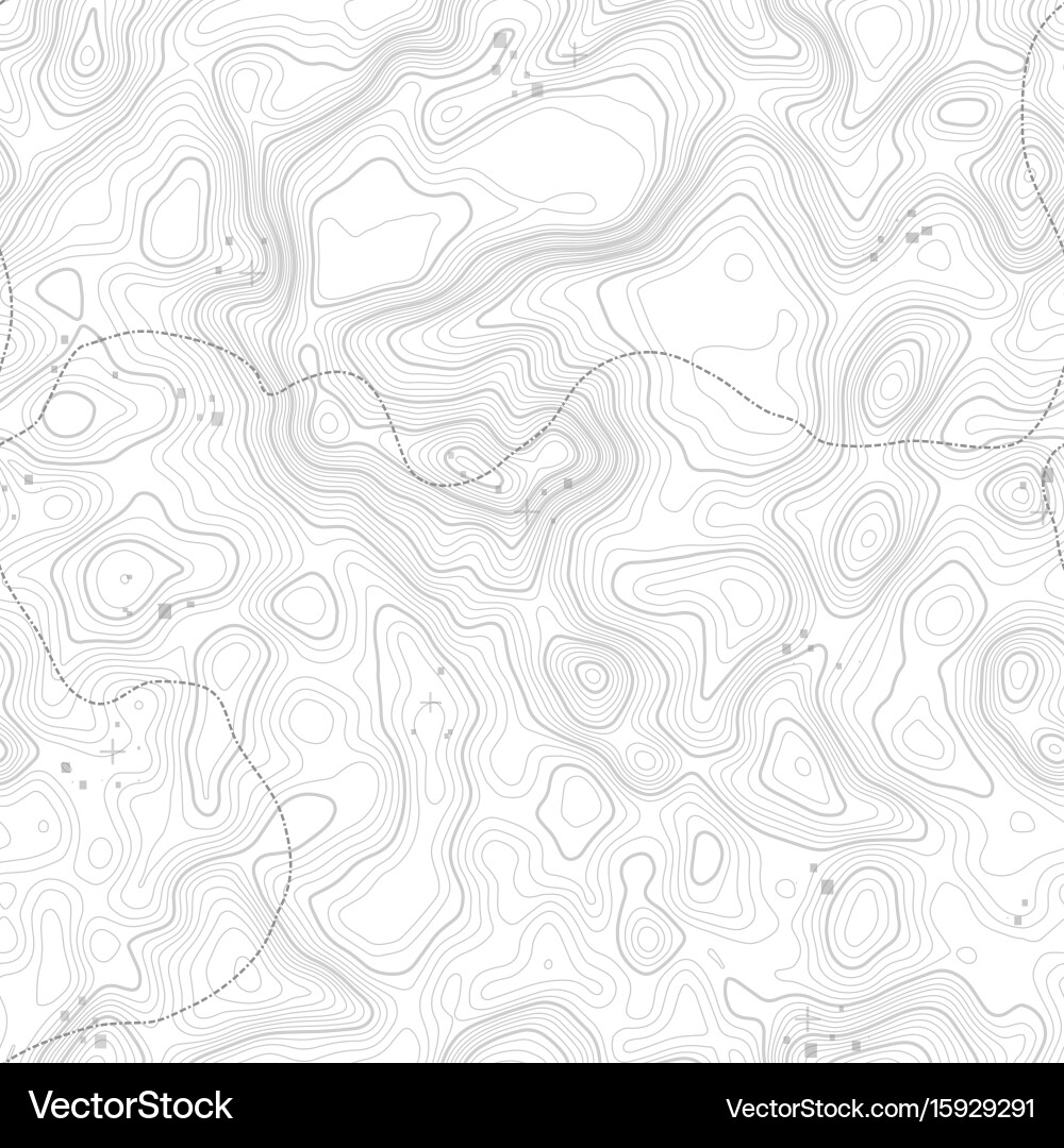 Topographic Map Pattern vector image