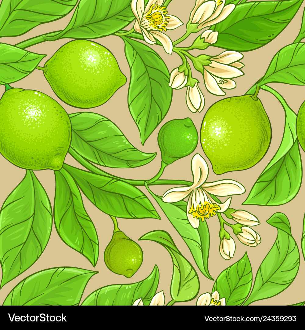 Lime branches pattern on color background Lime branches pattern on color background vector image