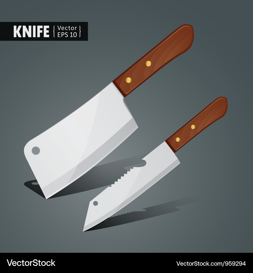 Stainless Steel Kitchen Knife Vector Image