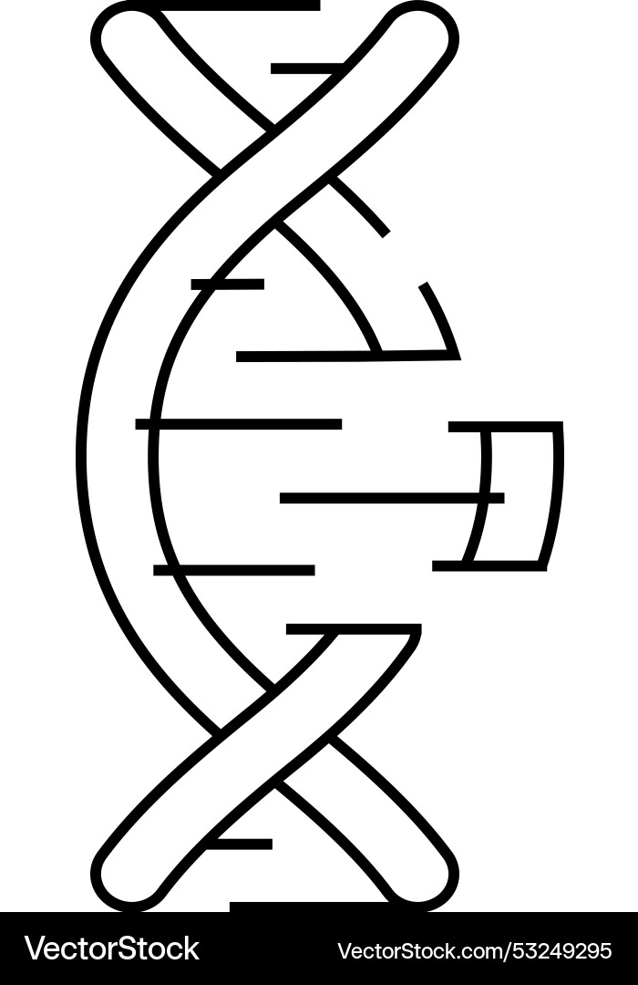 Dna code line icon isolated Vector Image