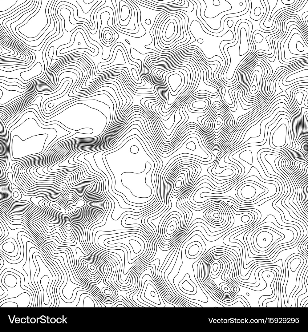 Seamless pattern topographic map background vector image