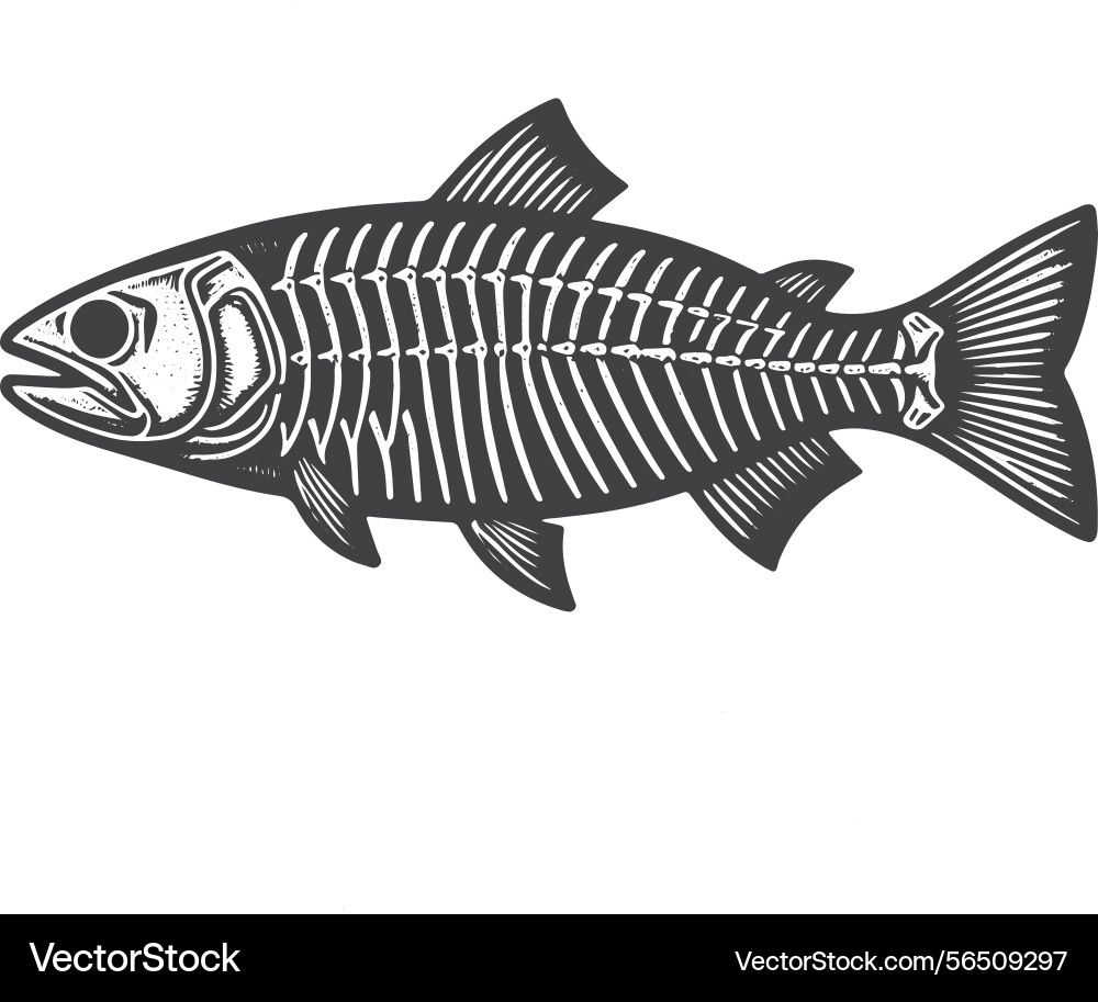 Simple trout skeleton side view icon design vector image