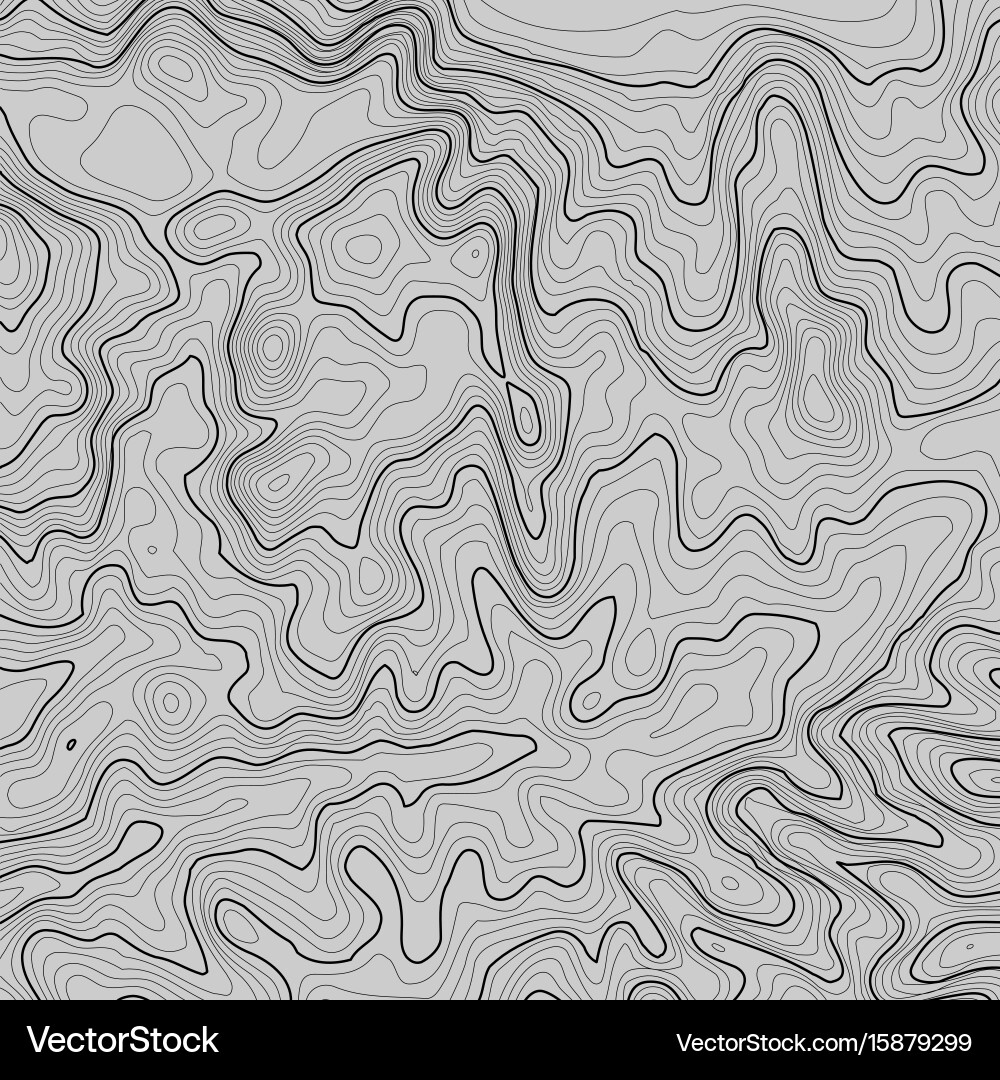 Topographic map background with space for copy Vector Image