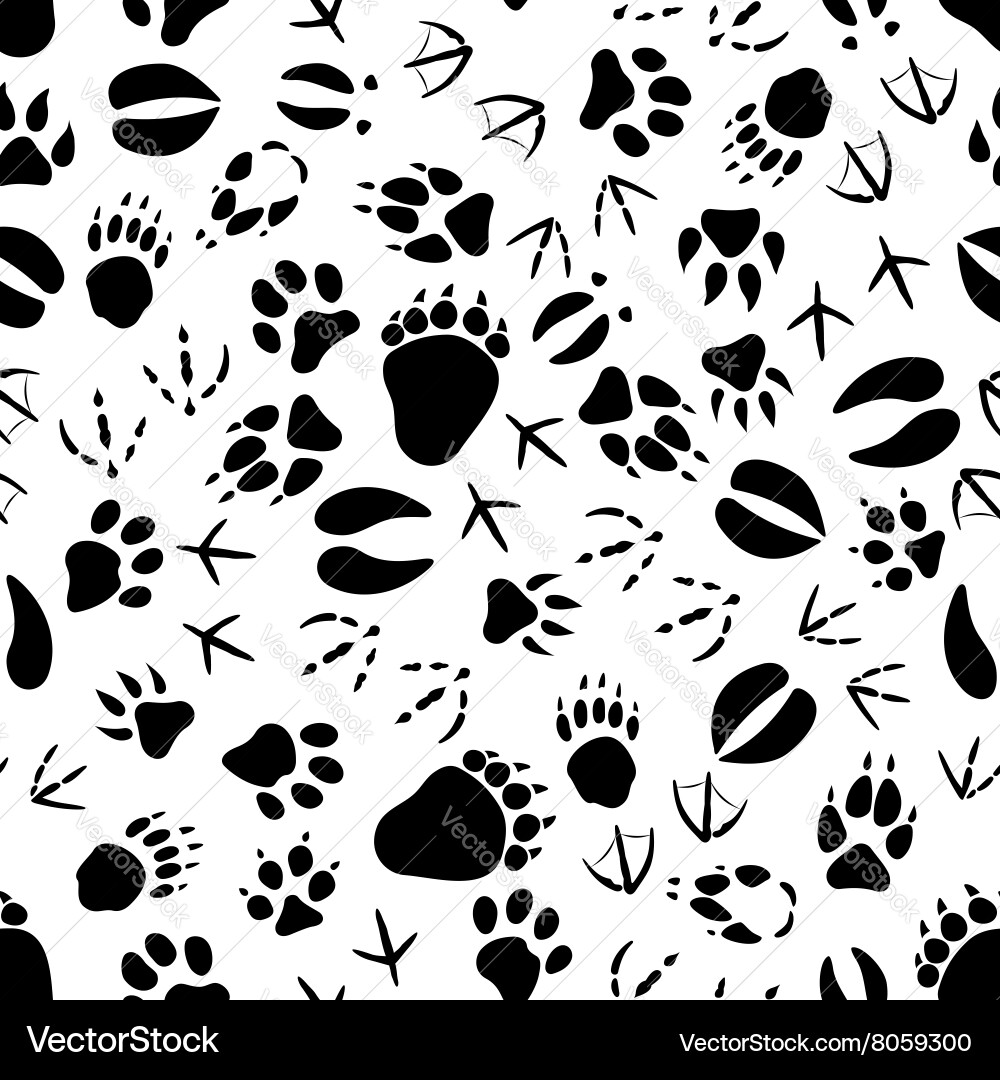 Animal Paw Print Pattern vector image