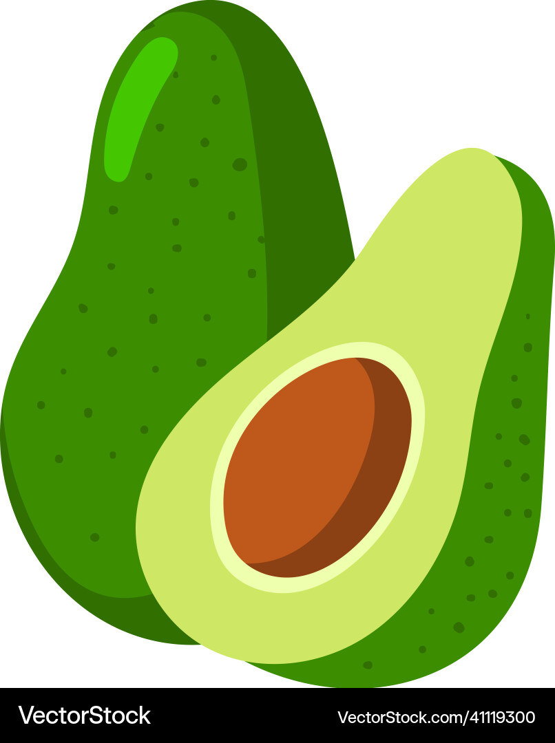 Avocado icon healthy diet fruit whole and half Avocado icon healthy diet fruit whole and half vector image