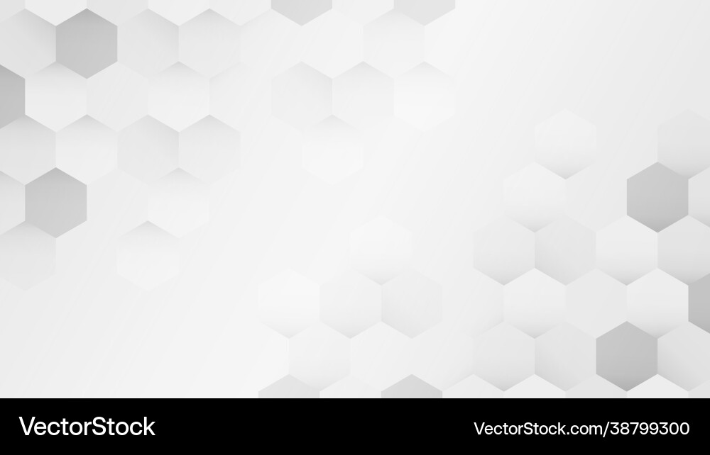 White and Gray Hexagon Pattern vector image