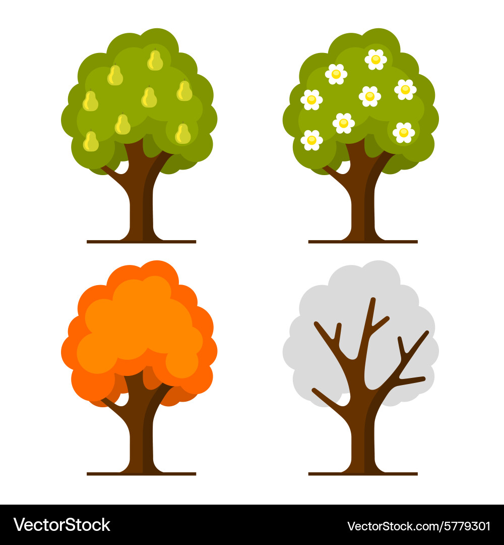 Elegant Pear Tree Collection vector image
