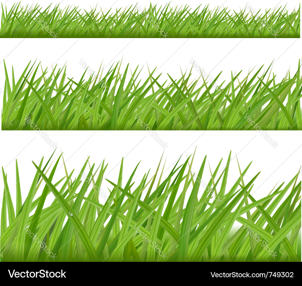 Grass Border Collection Vector Image