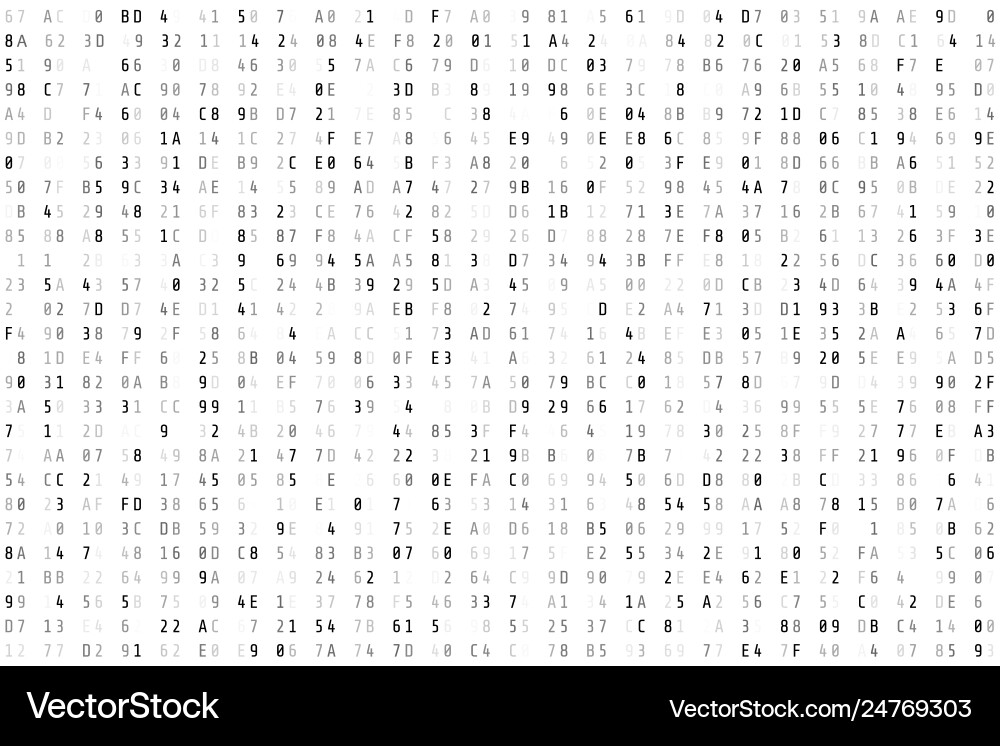 Hex Code Matrix Stream Background vector image