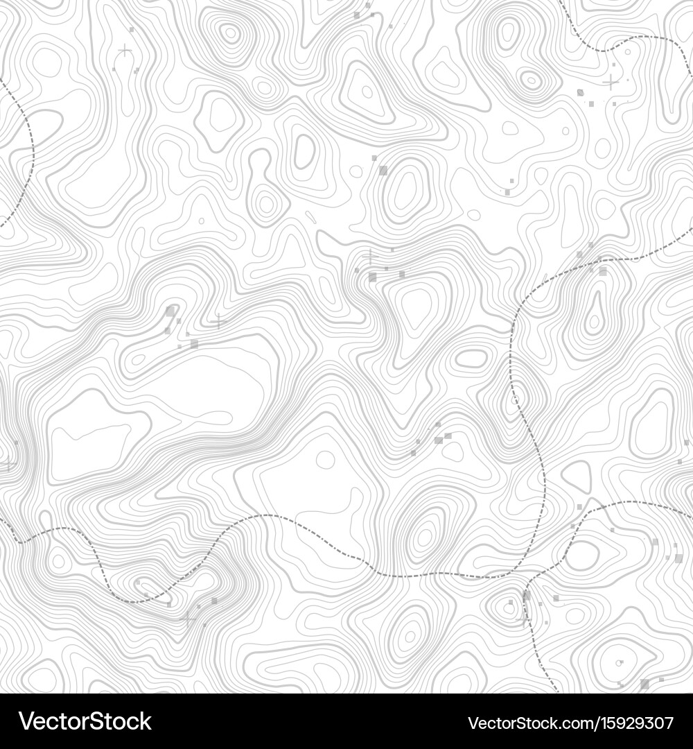Seamless pattern topographic map background Vector Image