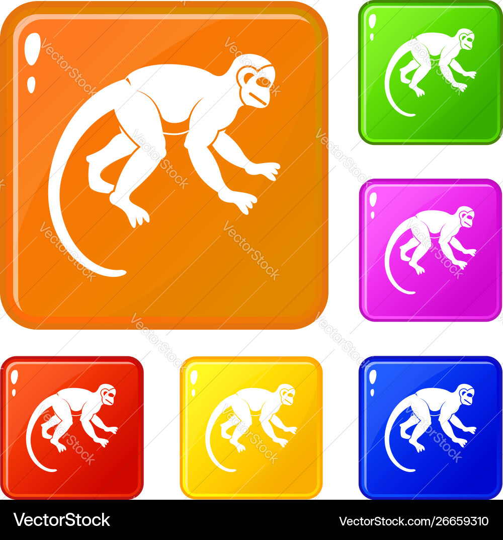 Capuchin monkey icons set color Vector Image