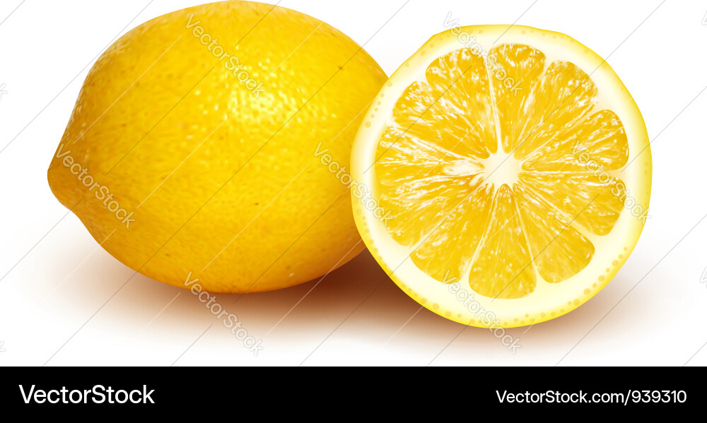 Lemon Slice Close-Up Vector Image