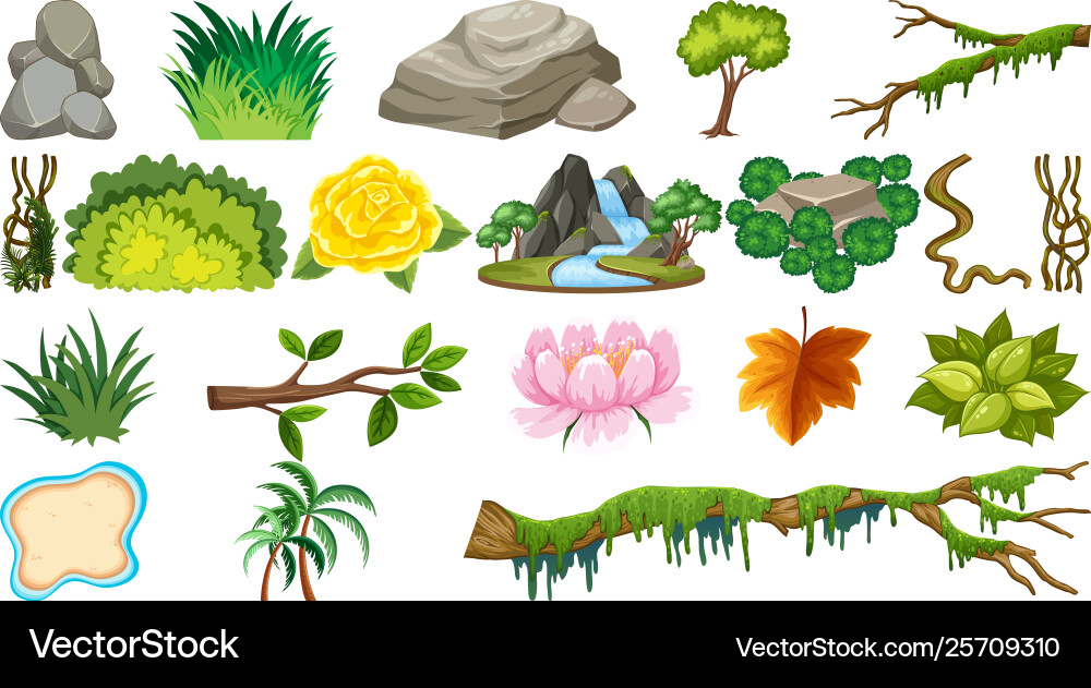Set natural objects vector image