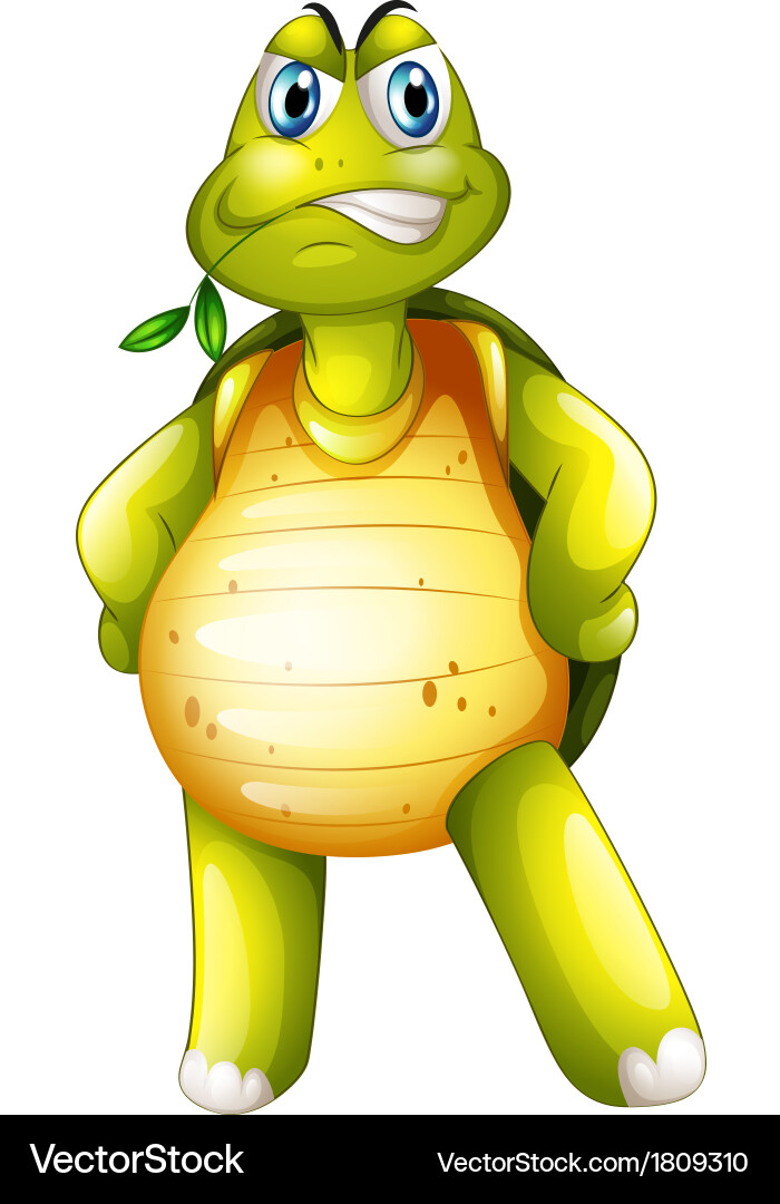 Turtle on White Background Royalty Free Vector Image