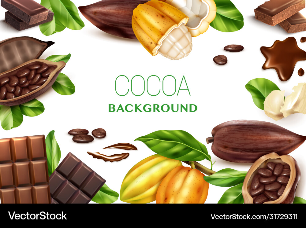 Cocoa realistic frame vector image
