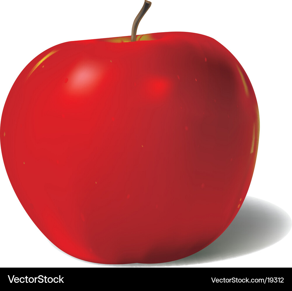 Red Apple in New York City Vector Image