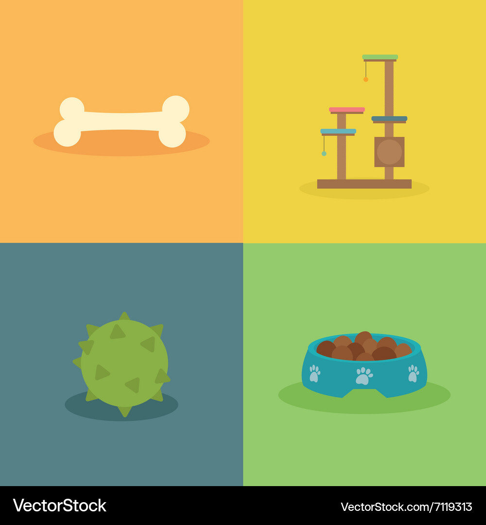 Pet shop objects Vector Image