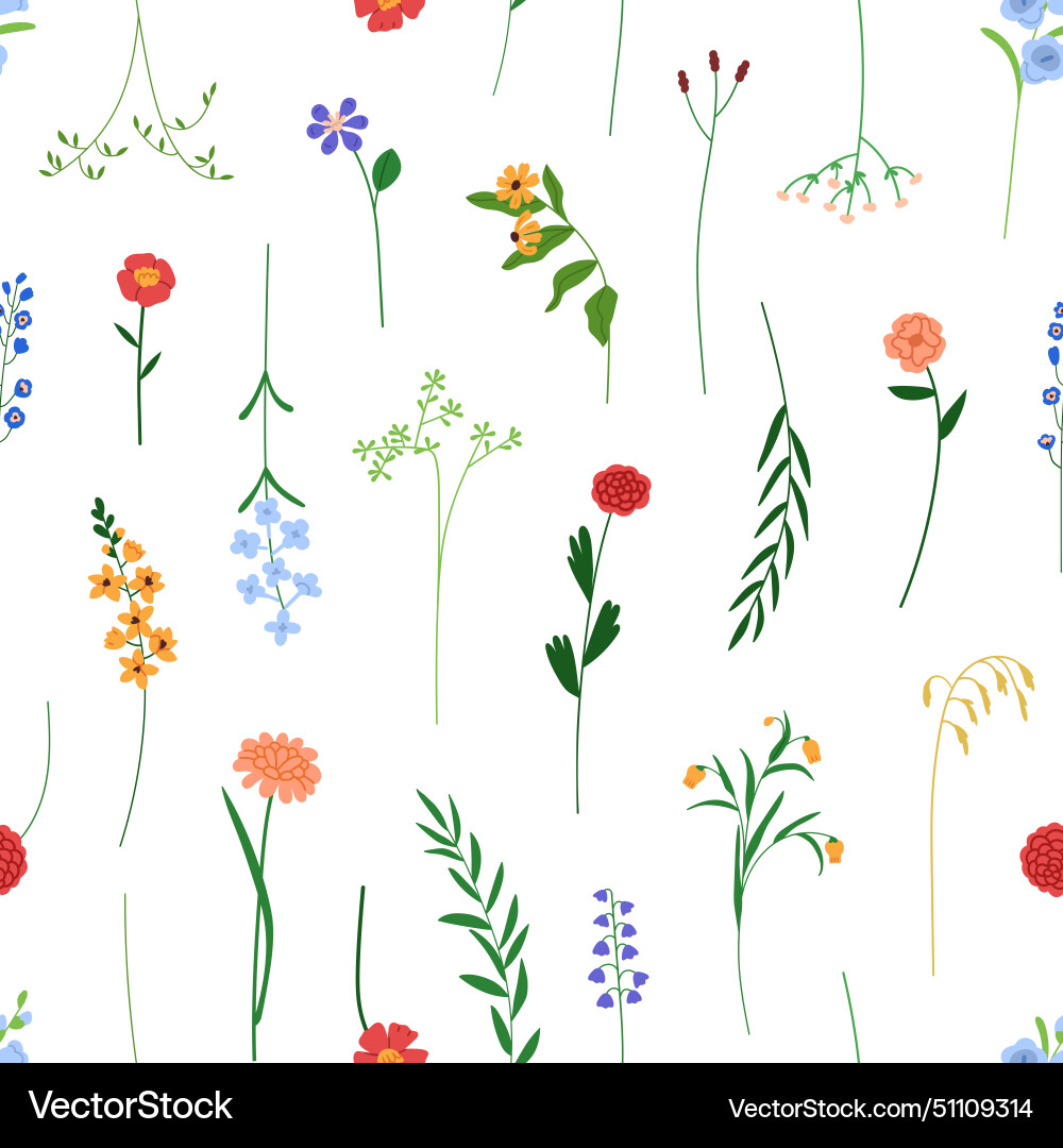 Blumen Botanische Muster Vektorbild